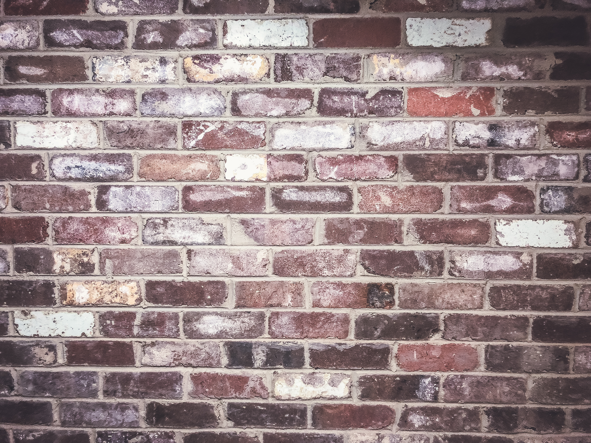 Mona Vale – Feature Wall (recycled bricks)